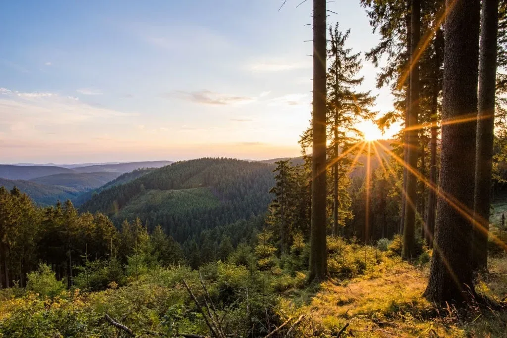 Sonnenaufgang am Rothaarsteig über den bewaldeten Hügeln des Sauerlands